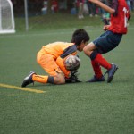 DSC01956[1][1]