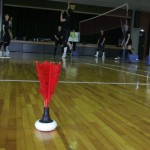 インディアカ